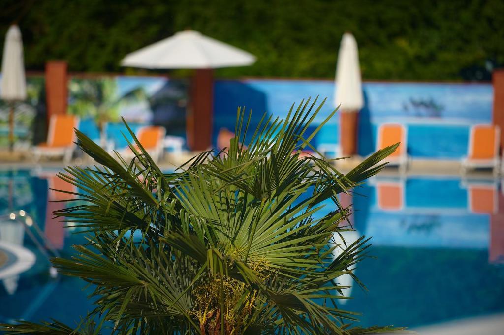 Burlach'ya Balka Grand-Marine Hotel & Spa מראה חיצוני תמונה